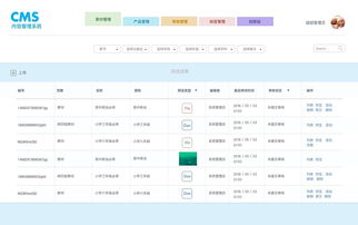 CMS系统界面