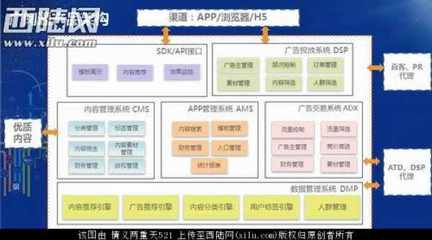 王琳:智能连接世界 打造内容交易智能平台
