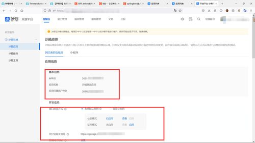 支付宝支付 第一集 没有营业执照,怎样申请一个支付宝的商家号进行开发 使用支付宝支付开发网页 移动应用,一分钟申请注册一个支付宝支付沙箱账号,支付宝支付入驻 创建应用