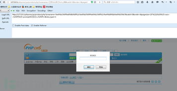 一个cms案例实战讲解php代码审计入门